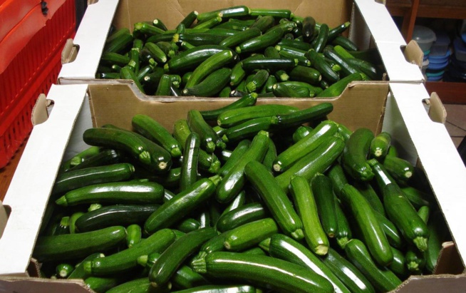 Ghana: Une nouvelle technologie agricole présentée aux agriculteurs Ghana: Une nouvelle technologie agricole présentée aux agriculteurs