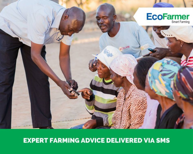 Zimbabwe: Econet lance EcoFarmer Club pour moderniser l’agriculture Zimbabwe: Econet lance EcoFarmer Club pour moderniser l’agriculture
