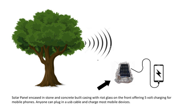 Un entrepreneur zimbabwéen invente une technologie qui transforme un arbre en hub Wi-Fi
