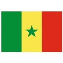 Un rapport pointe le retard du Sénégal dans le multimédia