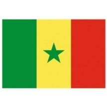 Un rapport pointe le retard du Sénégal dans le multimédia Un rapport pointe le retard du Sénégal dans le multimédia