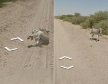 Le Botswana fait son apparition dans Google Street View Le Botswana fait son apparition dans Google Street View