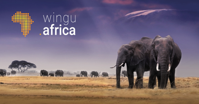 wingu.africa fait son entrée sur le marché des data center en Ethiopie wingu.africa fait son entrée sur le marché des data center en Ethiopie