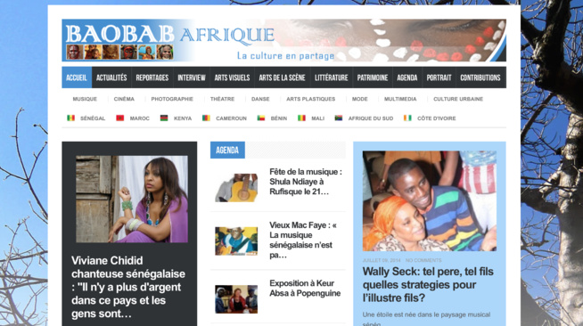 Lancement officiel du site culturel www.baobabafrique.com au Sénégal
