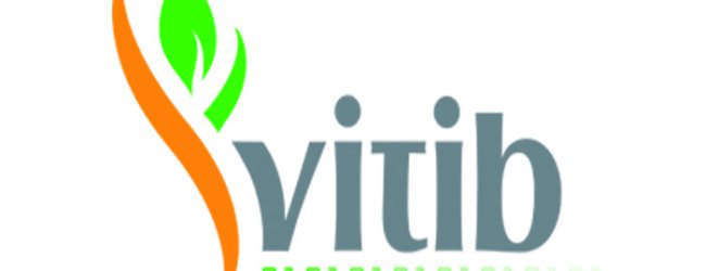 Cote d'Ivoire: Aménagement du Vitib – Lancement officiel de l'appel d'offres