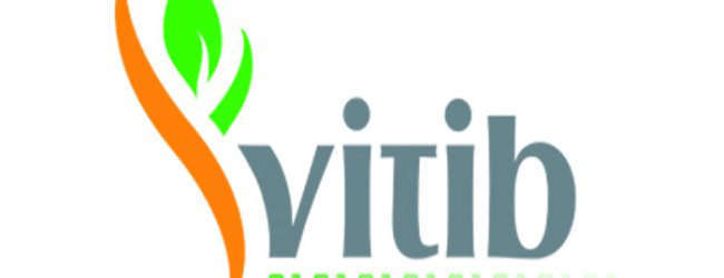 Cote d'Ivoire: Aménagement du Vitib – Lancement officiel de l'appel d'offres Cote d'Ivoire: Aménagement du Vitib – Lancement officiel de l'appel d'offres