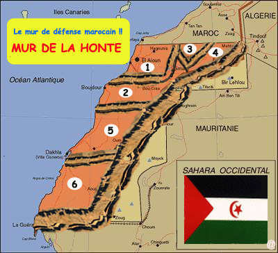 Sahara Occidental: La Campagne internationale contre le mur marocain au Sahara occidental a désormais un site Web