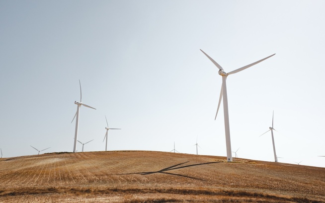 La BAD approuve un prêt de 170 millions $ pour le plus grand projet éolien d’Égypte La BAD approuve un prêt de 170 millions $ pour le plus grand projet éolien d’Égypte