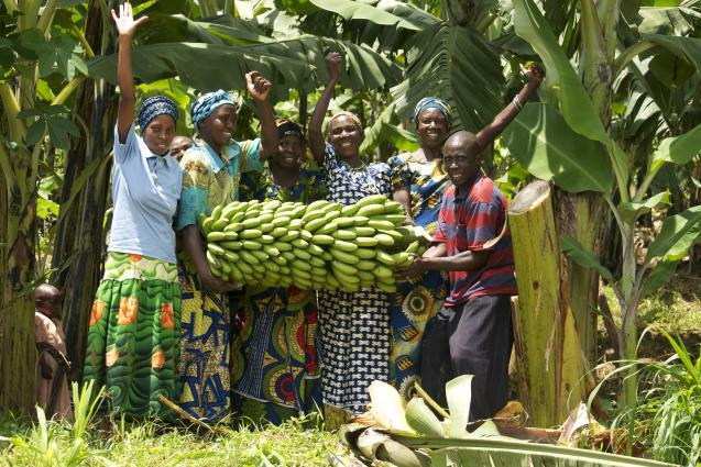 Rwanda: Le gouvernement lance un service en ligne pour faciliter le commerce agro-alimentaire