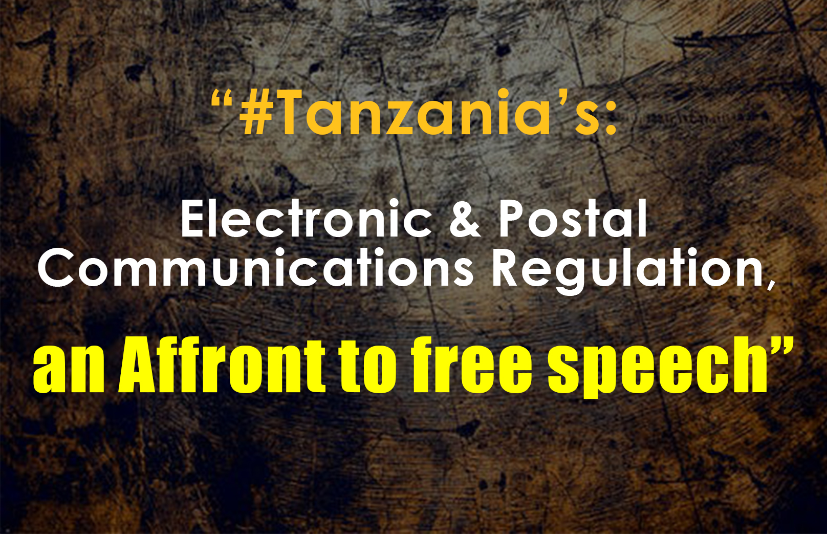 Tanzanie : Les blogueurs et les créateurs de contenu dans le tourment