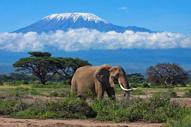 Tanzanie : une nouvelle application destinée aux touristes étrangers et locaux