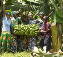 Rwanda: Le gouvernement lance un service en ligne pour faciliter le commerce agro-alimentaire Rwanda: Le gouvernement lance un service en ligne pour faciliter le commerce agro-alimentaire