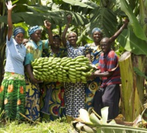 Rwanda: Le gouvernement lance un service en ligne pour faciliter le commerce agro-alimentaire