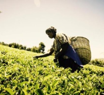 Mastercard lance une place de marché mobile pour les agriculteurs