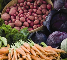 Nigeria: Le gouvernement fédéral déploie des technologies mobiles pour améliorer la nutrition Nigeria: Le gouvernement fédéral déploie des technologies mobiles pour améliorer la nutrition