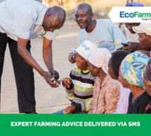Zimbabwe: Econet lance EcoFarmer Club pour moderniser l’agriculture