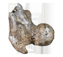 Kenya: Des entreprises américaines mettent en ligne plus de 10 millions d’artéfacts kenyans Kenya: Des entreprises américaines mettent en ligne plus de 10 millions d’artéfacts kenyans