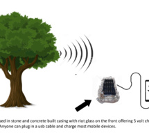 Un entrepreneur zimbabwéen invente une technologie qui transforme un arbre en hub Wi-Fi