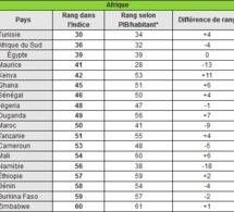 Connexion à Internet : la Tunisie détrône l’Afrique du Sud