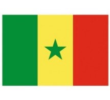 Un rapport pointe le retard du Sénégal dans le multimédia