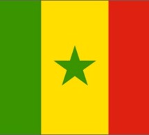 « Les politiques publiques inadaptées » à la vulgarisation d’Internet à haut débit au Sénégal