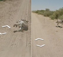 Le Botswana fait son apparition dans Google Street View