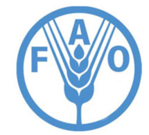 Afrique : la FAO lance une application mobile pour en savoir plus sur les poissons que nous mangeons