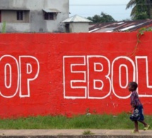 Sénégal: Les blogueurs mènent la lutte contre Ebola