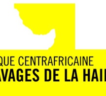 Centrafrique: Amnesty international lance un nouveau site web