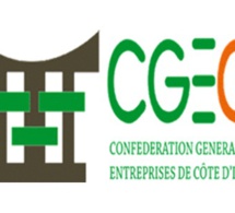 Cote d'Ivoire: Entrepreneuriat - Un atelier sur l'économie numérique organisé par la CGECI