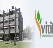 Cote d'Ivoire: Accord de partenariat entre le Vitib et la commune de Grand Bassam