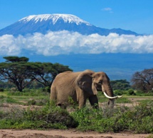 Tanzanie : une nouvelle application destinée aux touristes étrangers et locaux
