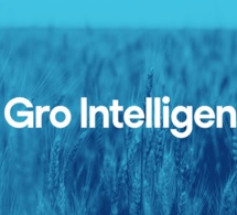 Kenya : La startup agro-technologique, Gro Intelligence, met la clé sous la porte