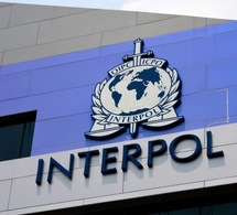 Afrique : une opération anti-cybercriminalité majeure a permis d'arrêter 1006 suspects