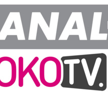 Canal + et Iroko veulent lancer la première App Svod en Afrique francophone