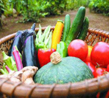 Ouganda: Des étudiants de Makerere ont mis au point une application de nutrition Ouganda: Des étudiants de Makerere ont mis au point une application de nutrition